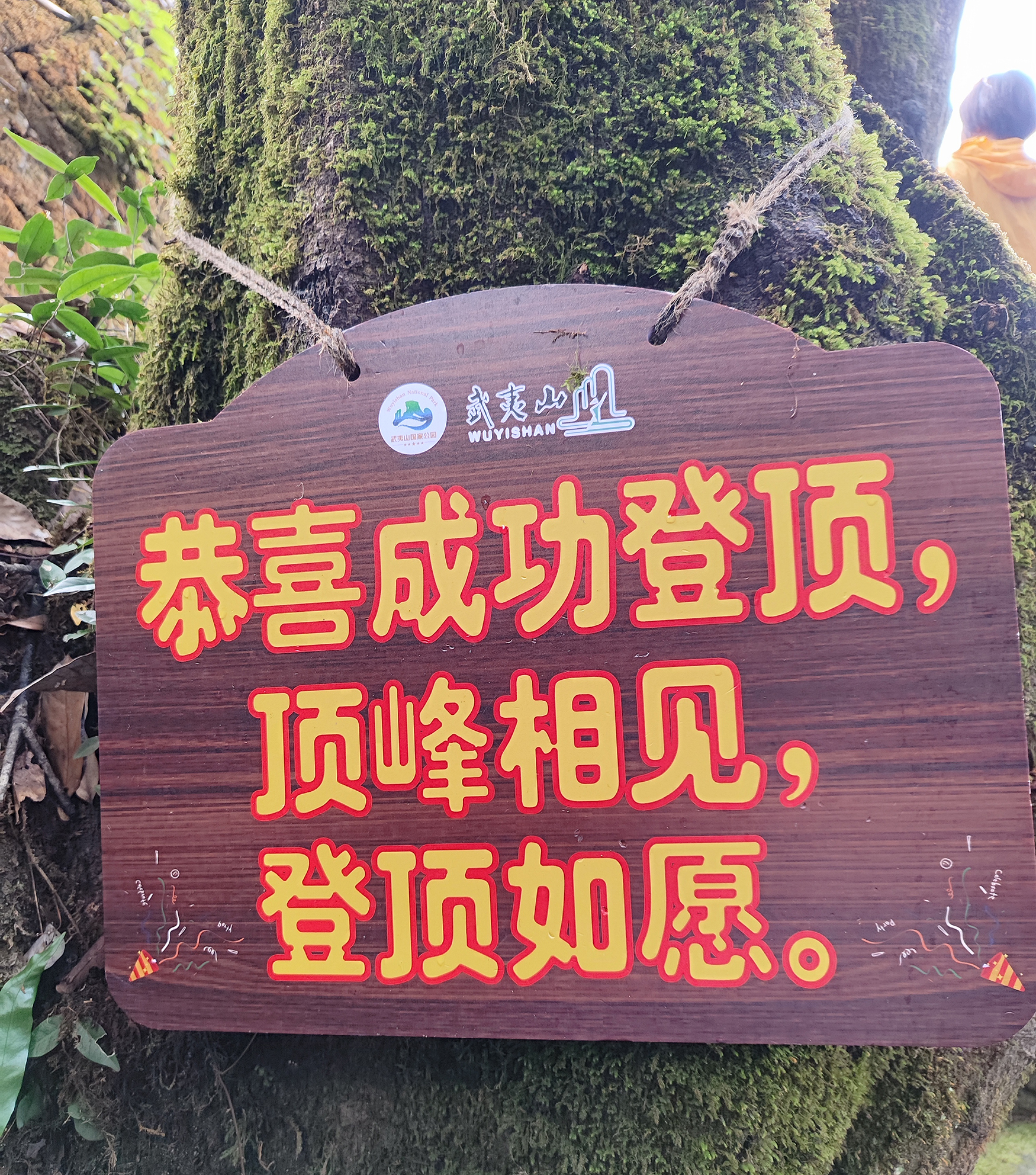 IMG_20260816_091317.jpg